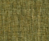TAMPA green olive