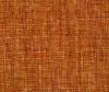 TAMPA apricot